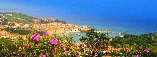 collioure_hilltop.JPG